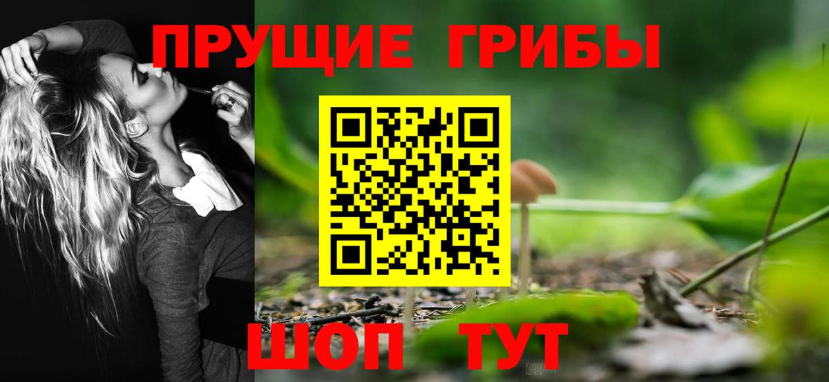 Псилоцибиновые грибы Psilocybine cubensis Коммунар